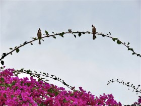 有缘千里来相会