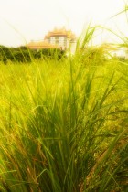 走！去学校