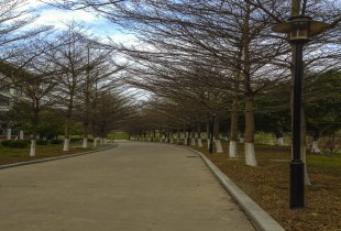 时光是首缓慢的歌