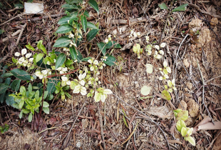 云之彼端约定的地方