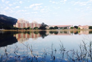 我想和你虚度时光