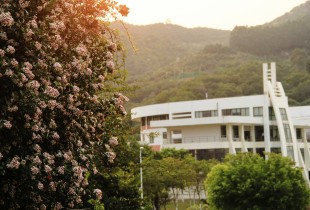 生命中最美的四年