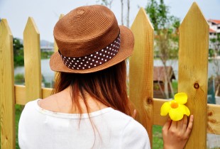 【范例】黑天鹅到校安家