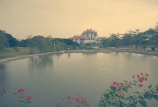 时光流淌，步盈而过！