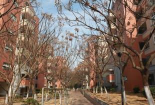 &ldquo;嘉&rdquo;冬