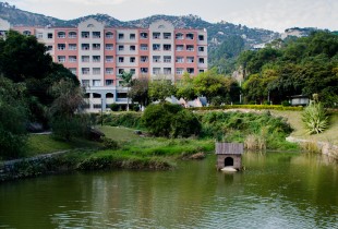 嘉园若谷鸳鸯记