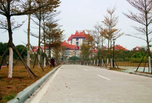 凋零，你是最美风景