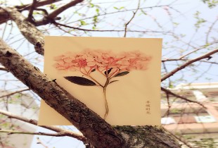 半暖时光遇见你