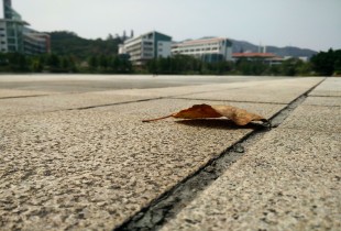 时光知味&middot;叶