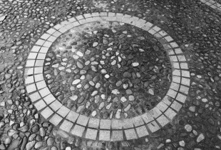 嘉里的石头和树