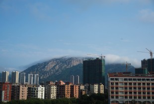 【窗台记事】春雾与鸟与枝丫