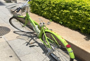 谁伤害了你却一笑而过