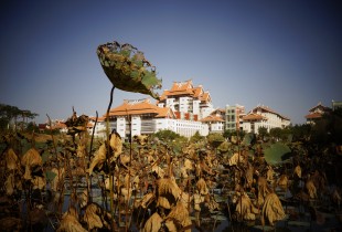 时间停在水中央