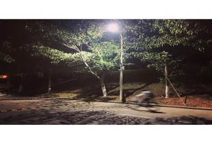 在嘉走过的每一个晴天