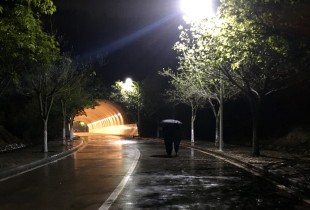 天街小雨润如酥