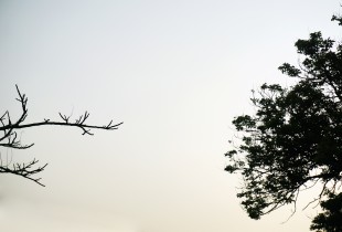 一个像冬天一个像夏天