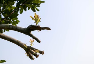 &ldquo;嘉&rdquo;中花园