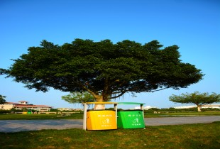 被遗忘的垃圾桶