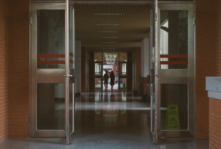 群体性动物的孤独发问