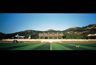 我的傻瓜相机与嘉庚