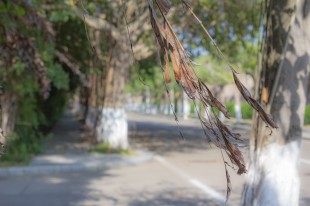 &ldquo;嘉&rdquo;的路