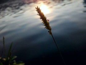 认真的图和&ldquo;耍流氓&rdquo;的人生