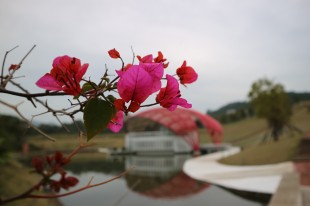 春风暖，吹绿了&ldquo;嘉&rdquo;园