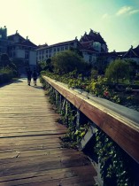 漫步&middot;&ldquo;嘉&rdquo;