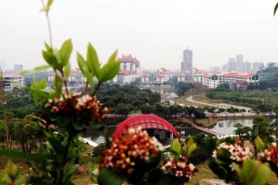 &ldquo;嘉庚&rdquo;美景