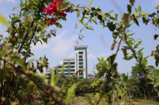 &ldquo;嘉&rdquo;人&ldquo;嘉&rdquo;景