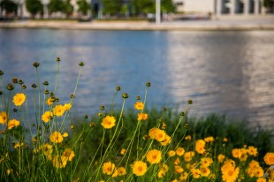 "嘉园"里的&ldquo;金黄&rdquo;