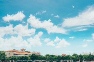 要记得回&ldquo;嘉&rdquo;看看