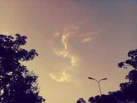 抬头仰望，天空里竟只剩下了你的色彩