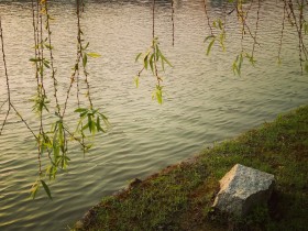 人非草木，孰能无情？