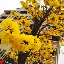 一纸嘉书到家来