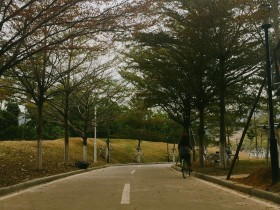 我与我&ldquo;嘉&rdquo;