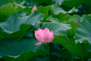 我想在&ldquo;嘉&rdquo;多留一会