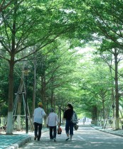 嘉园小道的陪伴