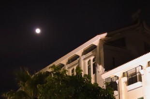 月光照亮了你—嘉园