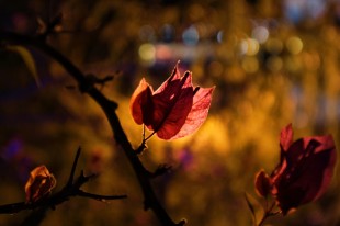 属于你的美好事物