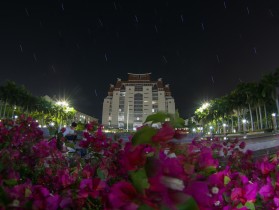 &ldquo;星&rdquo;花怒放