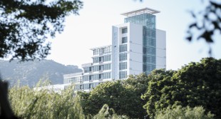 阳光从林间穿过  落在那燕尾脊上