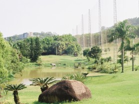 关于夏天的零碎记忆