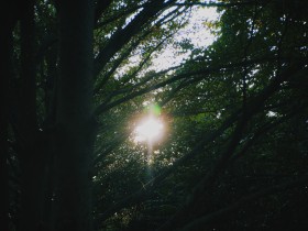 绿与&ldquo;嘉&rdquo;