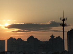 鲨鱼！鲸鱼！虎纹鲨鱼！