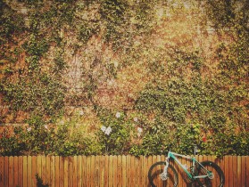 多样&ldquo;嘉园&rdquo;