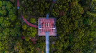 “嘉庚”的春天