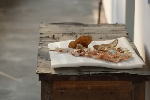 &ldquo;金&rdquo;柚