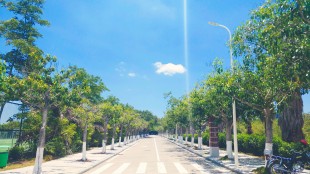 心中有阳光，脚下有力量