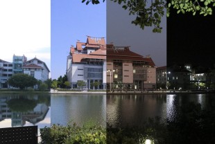 与&ldquo;嘉&rdquo;的朝暮